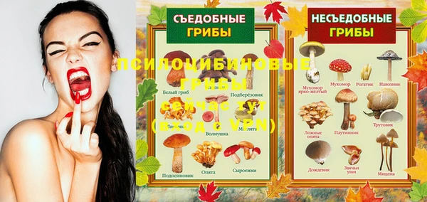гидропоника Абдулино