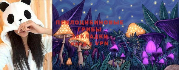2c-b Алексеевка
