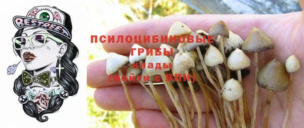 кокс Алзамай