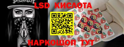 тгк Новозыбков
