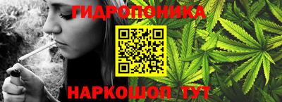 индика Новокубанск