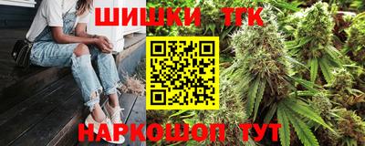 тгк Новозыбков