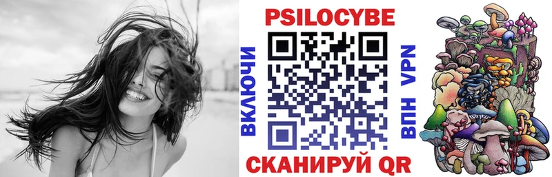 нарко площадка Telegram  закладка  Черкесск  Псилоцибиновые грибы GOLDEN TEACHER 