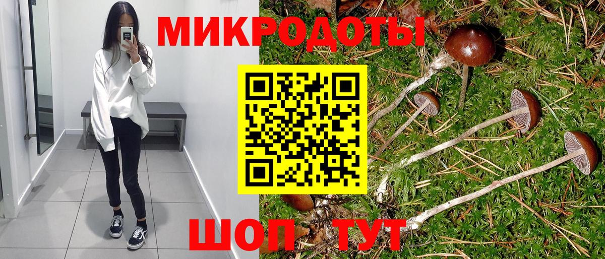 Черкесск  Галлюциногенные грибы MAGIC MUSHROOMS  Вход с VPN 